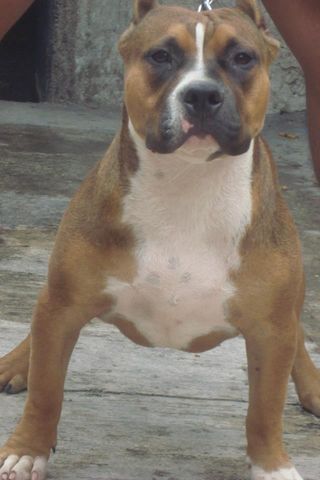 pretty a los 6 meses