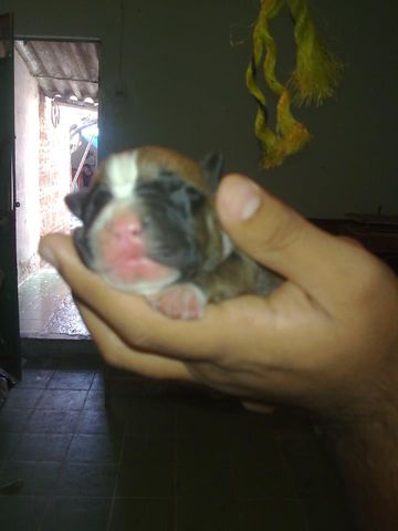 pretty reccien nacida